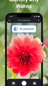 PlantIn: Planten Herkennen screenshot