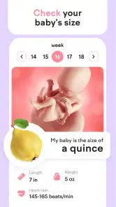 Pregnancy Tracker: amma screenshot
