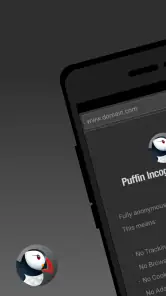 Puffin Incognito-browser screenshot