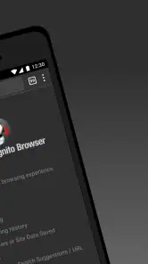 Puffin Incognito-browser screenshot