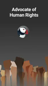 Puffin Incognito-browser screenshot