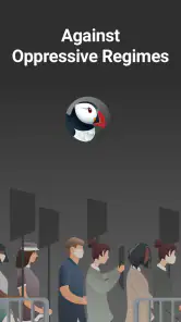 Puffin Incognito-browser screenshot