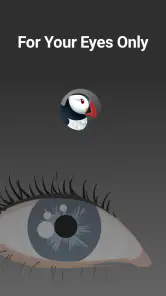 Puffin Incognito-browser screenshot