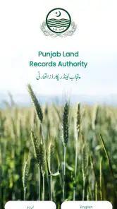 Punjab Zameen screenshot