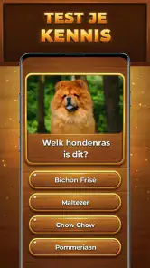 Quiz-Boom: Trivia Blocks screenshot