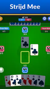 Spades - Klassieke Kaarten screenshot