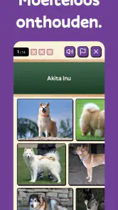 Squiz - Leren met Quiz cultuur screenshot