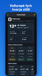 Veðrið - Veður á Íslandi screenshot