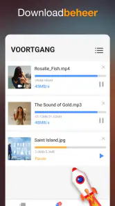 Videodownloader screenshot