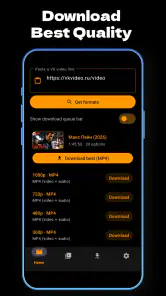 VK Video Downloader screenshot