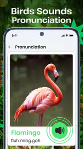 Vogelgeluiden screenshot