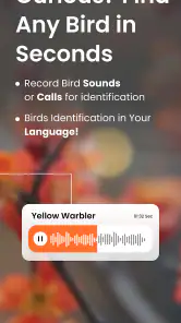 Vogelgeluiden Herkennen App screenshot