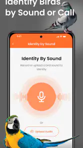 Vogelgeluiden Herkennen App screenshot