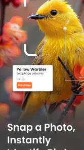 Vogelgeluiden Herkennen App screenshot