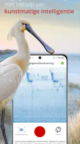 Vogels van Nederland en België screenshot
