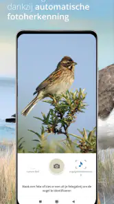 Vogels van Nederland en België screenshot