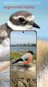 Vogels van Nederland en België screenshot
