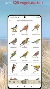 Vogels van Nederland en België screenshot