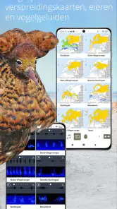 Vogels van Nederland en België screenshot