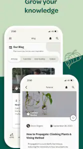 Willow screenshot