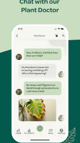 Willow screenshot