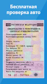 База РФ — проверка авто по VIN screenshot