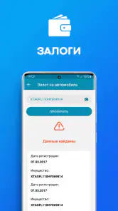 Проверка авто по VIN базе РФ screenshot