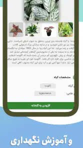 گل بین | شناسایی گیاه با عکس screenshot