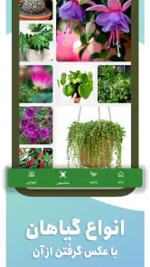گل بین | شناسایی گیاه با عکس screenshot
