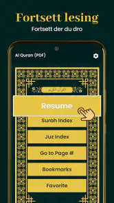 Al Quran Kareem 16 Linjer screenshot