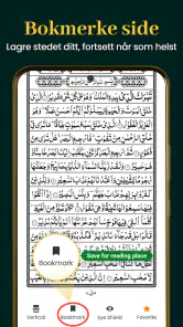 Al Quran Kareem 16 Linjer screenshot