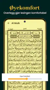 Al Quran Kareem 16 Linjer screenshot