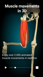 Anatomy Learning - 3D Anatomy screenshot