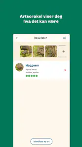 Artsorakel screenshot