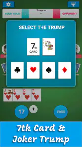 Card Game 29 screenshot