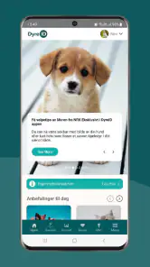 DyreID screenshot