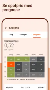 Fjordkraft screenshot