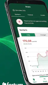 Fortum screenshot