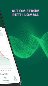 Fortum screenshot