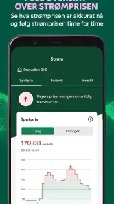 Fortum screenshot