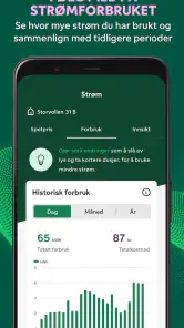 Fortum screenshot
