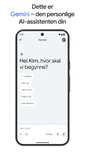 Google Gemini screenshot