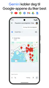 Google Gemini screenshot