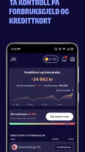 Horde - Sjef i egen økonomi screenshot