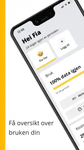 ice screenshot