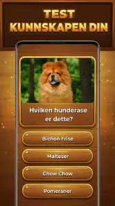 Kunnskapens Tre: Trivia Blocks screenshot
