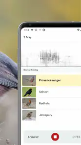 Merlin Bird ID af Cornell Lab screenshot