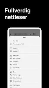 Nettleser screenshot