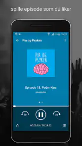 Podcast Radio Musikk- Castbox screenshot