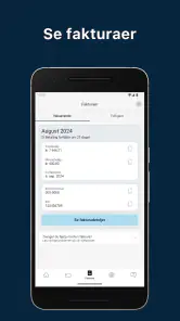 SAS EuroBonus World Mastercard screenshot